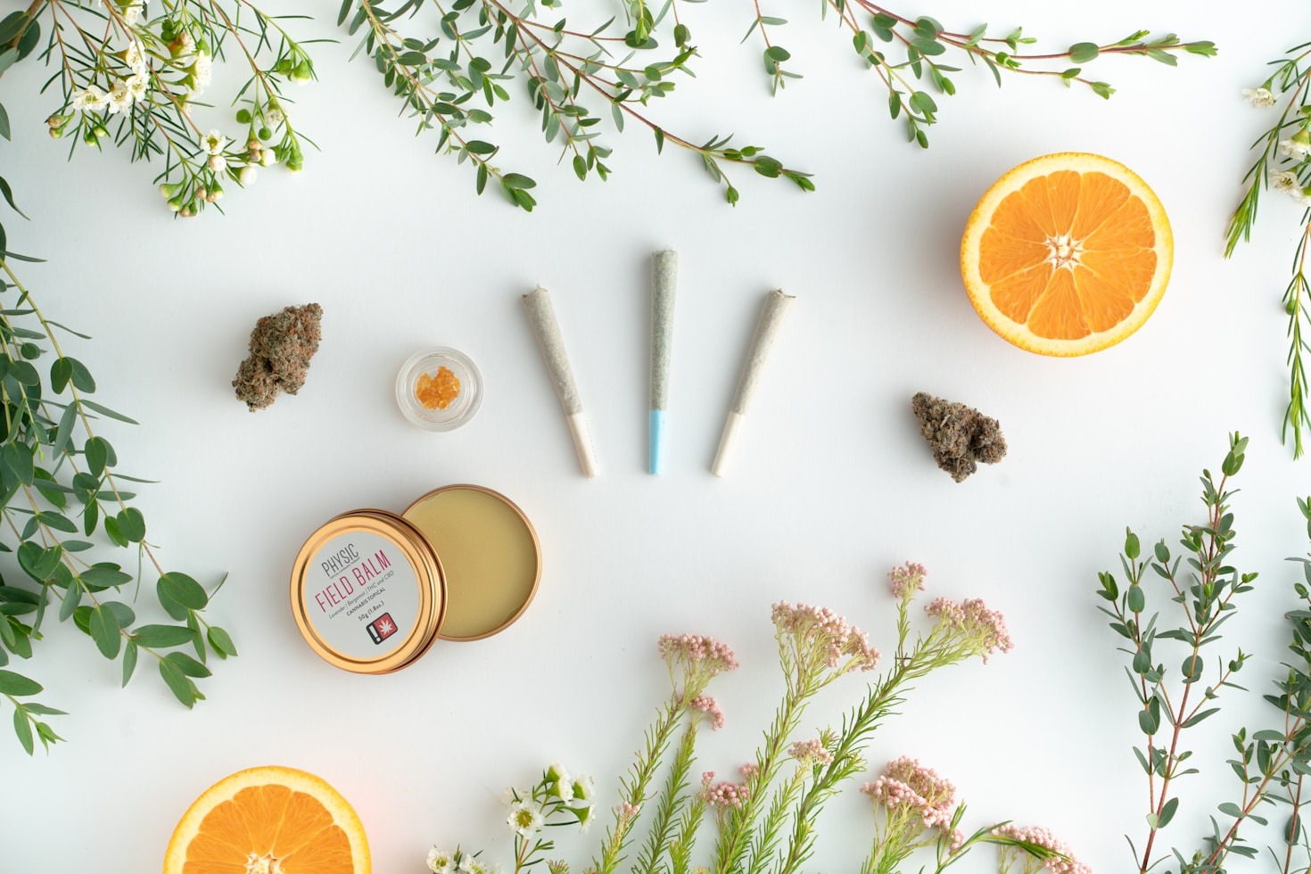 Understanding Terpenes for Beginners.
